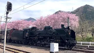 #110  秩父鉄道　SLパレオエクスプレス　C58363　蒸気機関車　旧型客車