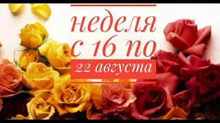 ВОДОЛЕЙ . ОСНОВНЫЕ СФЕРЫ ЖИЗНИ С 16 ПО 22 АВГУСТА.