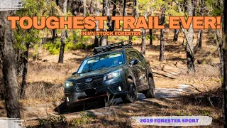 Toughest trail ever? Let's take the Subaru Forester offroad and see what it can do!!