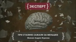 Андрей Фурсов: При Сталине сажали за меньшее