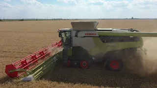 Claas Lexion 8700 TT + Claas Vario 1230 - wheat harvest 2022 in Romania, Olt county