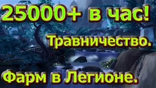 Лучшее место для фарма голды  в Легионе  25к+ в час. Травничество.