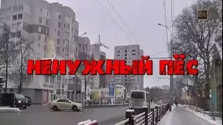 Ненужный пёс - Юлия Шатунова (2016)