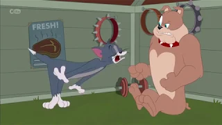 The Tom And Jerry Show - Lame Duck