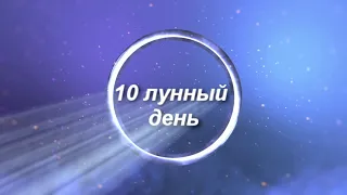 10 лунные сутки