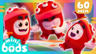 Fuse's Gold Star Challenge! 🌟 | 🌈 Minibods 🌈 | Preschool Cartoons for Toddlers
