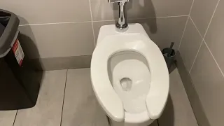 Toto ct705 vs large TP