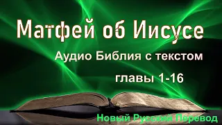 От Матфея, главы 1-16 👇тайм-коды #НовыйРусскийПеревод #аудиоБиблия #библия_слушать  #евангелие