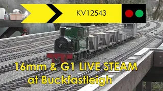 16mm and Gauge 1 live steam at Buckfastleigh in January 2023