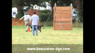 Artzain du DGV coupe de France en ring Beauceron 2011