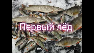 ПЕРВЫЙ ЛЁД/3 2022-2023 . НУ ОЧЕНЬ БЕШЕНЫЙ КЛЁВ ГОРБАЧА. рыбалка на ЖЕРЛИЦЫ