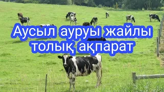 Аусыл ауруы (ящур) Аусыл ауруының ем шаралары