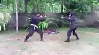 Ngayogyakarta Ninjutsu the Art of War