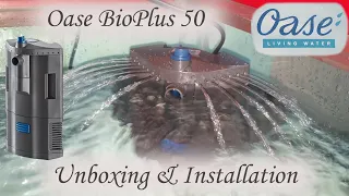 Oase BioPlus 50 Internal Aquarium Filter Unboxing And Installation | Oase BioPlus 50 Filter Review