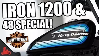 IRON 1200 & 48 SPECIAL! - NEW 2018 Harley-Davidson Sportsters!