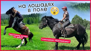 Чуть не СКИНУЛА ЛОШАДЬ В ПОЛЕ !? / ВЛОГ с Майзаса