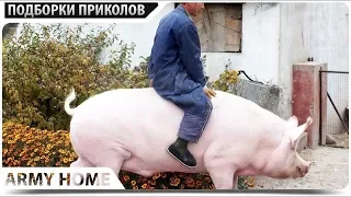 ЛУЧШИЕ ПРИКОЛЫ 2019 Всем смотреть папробуй не засмеяться!