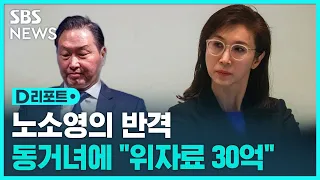 노소영, 최태원 SK회장 동거인에 30억 위자료 소송 / SBS / #D리포트