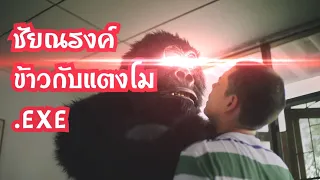 ชัยณรงค์ กินข้าวกับแตงโม.EXE.Mp4.Mp3