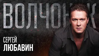 Сергей Любавин - Волчонок (remake) | official audio, 2018