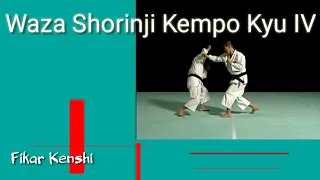 Shorinji Kempo Waza (Technique) | Kyu IV Part (1/2)