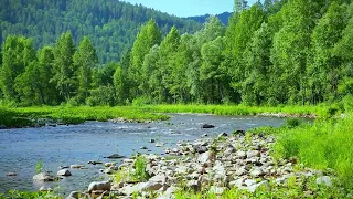 Calming river sounds in mountains | Gentle white noise of mountain stream (10 hours)