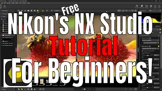 Nikon NX Studio Editing Tutorial for Beginners