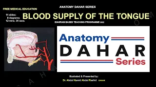 BLOOD SUPPLY OF THE TONGUE, Anatomy DAHAR Series