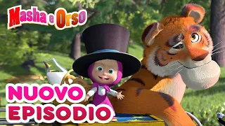 Masha e Orso - 💥 Nuovo episodio! 💥 Collezione di cartoni animati 🎬 Un Amico a Strisce 🐯