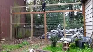 How to keep your cats from climbing a fence - They can't climb this cat proof fence.