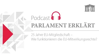 Wie funktionieren die EU-Mitwirkungsrechte? (Podcast Folge 18)