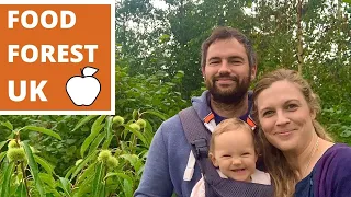 FOOD FOREST TOUR: UK family growing food forest as part of OFF GRID LIFE