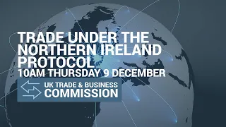 Trade under the Northern Ireland Protocol