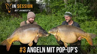 ***Karpfenangeln TV*** In Session mit Hambsch #3 Angeln mit Pop-Up's