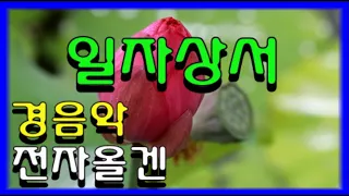 28. *일자상서* 이꽃저꽃 여러꽃 영상 힐링 (전곡 가사자막 제공) 환상의 전자올겐 트로트메들리 경음악메들리 왕년에 18번지 메들리 즐감 하세요 #화물운송콜센터