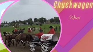 Chuckwagon Race