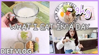 [DIET VLOG]Ep.3 -9kg한 다이어터의 다이어트 브이로그 / 다이어트 식단일기 / What I eat in a day / 다이어트 브이로그 / 쪼세의 다이엍ㅡ