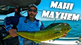 MAHI MAYHEM | GOLD COAST DOLPHIN FISH | TROPICAL FISH TACOS