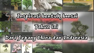 inspirasi bentuk Bonsai dari beberapa negara