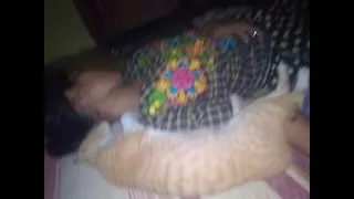 Tidur nyenyak  Kucing' sama pemilik nya