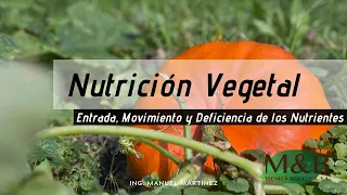 Nutrición Vegetal: Entrada, Movimiento y Deficiencia de los Nutrientes