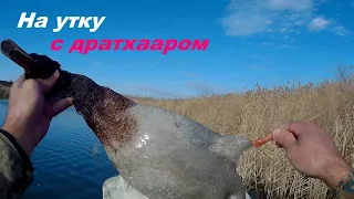 на утку с подхода