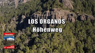Teneriffa: Los Organos Höhenweg