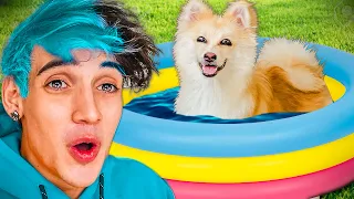 12 WAYS to make YOUR DOG HAPPY | tik tok challenge *challenge*