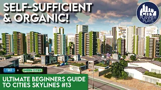 Going GREEN with the Green Cities DLC | Ultimate Beginners Guide to Cities Skylines #13