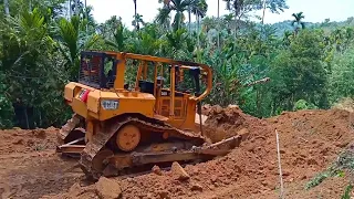 Amazing! Caterpillar D6R XL bulldozer operators are highly skilled at widening plantation roads