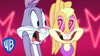 Looney Tunes em Português | Brasil | We Are in Love | WB Kids