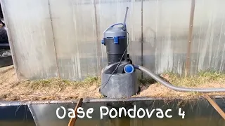 Рекомендуем!!! Пылесос для Вашего водоема Oase Pondovac 4. Тест пылесоса для пруда Oase.