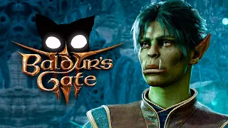 Baldur's Gate 3  Mr. Cat - Первый взгляд.