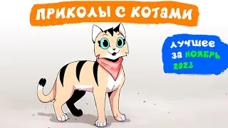 Приколы с котами. ЛУЧШЕЕ ЗА НОЯБРЬ 2023 | Мемозг